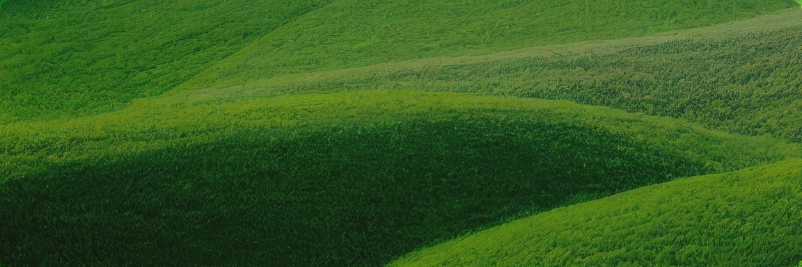 亚洲必赢国际·437ccm(中国区)官方网站